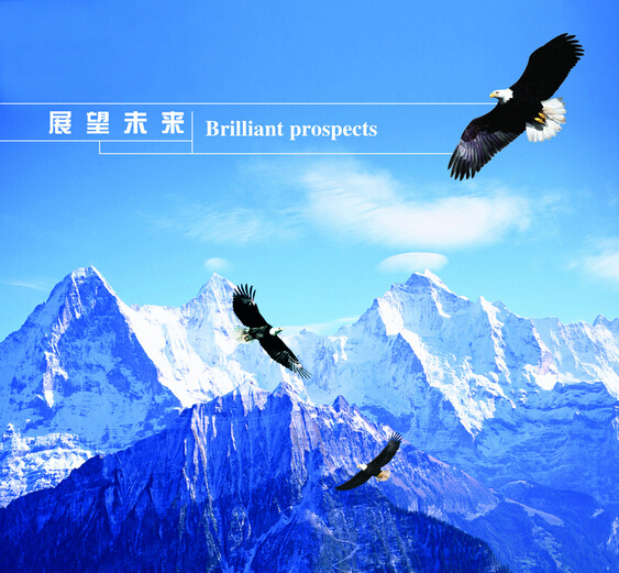 河北萬(wàn)環(huán)環(huán)?？萍加邢薰?></a>
            </dt>
            <dd>
                <h4><a href=
